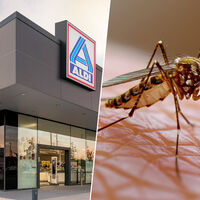 Llega a Aldi el sábado 11 de julio (y por menos de 10 euros) este invento para acabar con los insectos en casa
