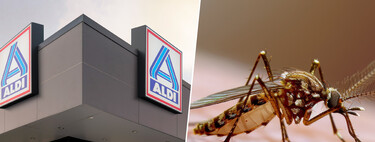 Llega a Aldi el sábado 11 de julio (y por menos de 10 euros) este invento para acabar con los insectos en casa