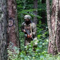 Si la niebla fue letal en el invierno de Ucrania, la primavera le está ofreciendo a Rusia una ventaja clave: la vegetación