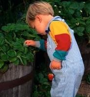 Descubierto uno de los genes que determinan la estatura