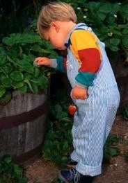 Descubierto uno de los genes que determinan la estatura