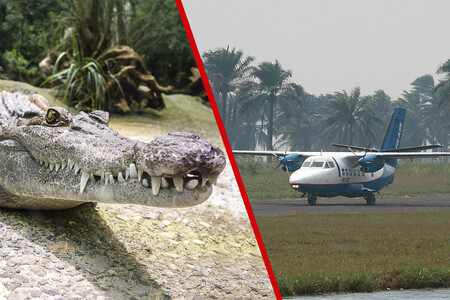 Cocodrilo Avion Filair