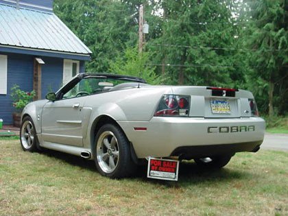 Mustang Cobra