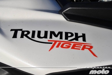 Triumph Tiger 800