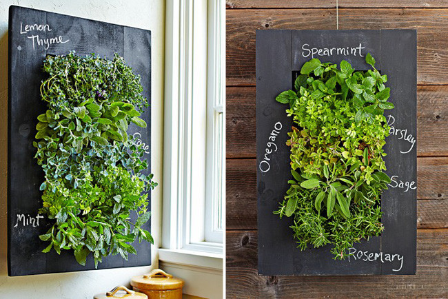 Un huerto urbano vertical para que tus plantas luzcan preciosas