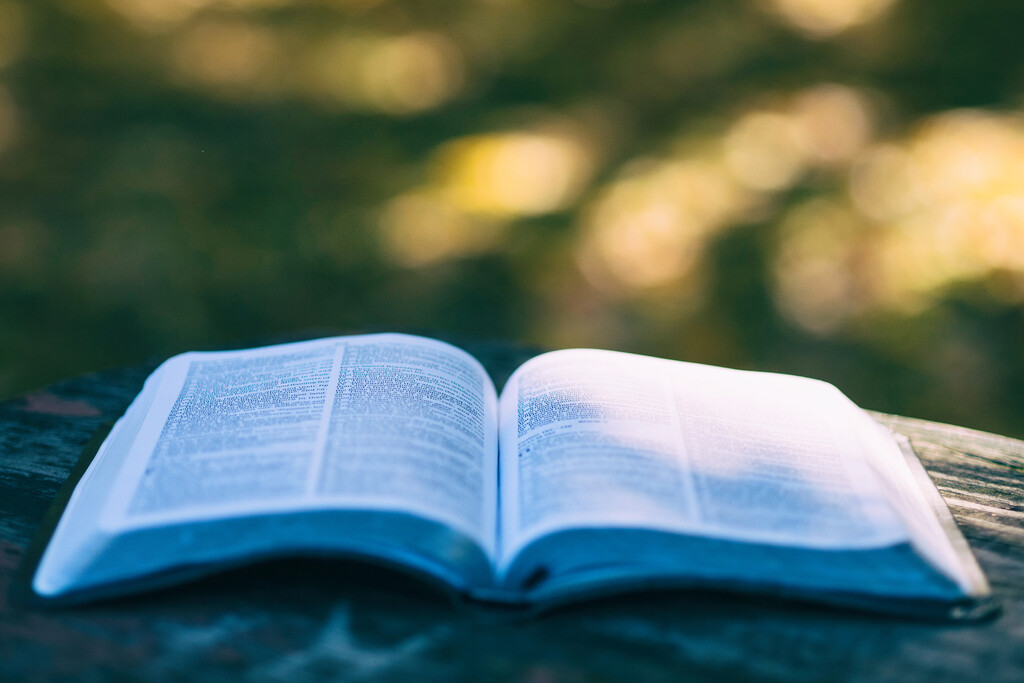 Nueve libros de fotografía indispensables para aprender y hacer mejores fotos