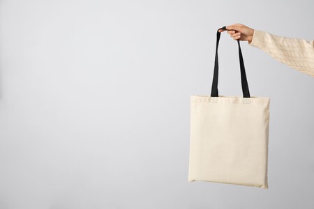 Naturaleza Muerta De Una Bolsa Colgada 1