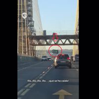 Un váter portátil cae desde lo alto del Puente del Centenerio de Sevilla y corta el tráfico durante horas