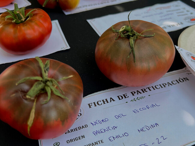 Tomate Negro