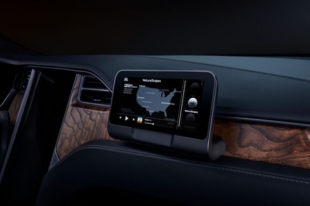 ecotec plus