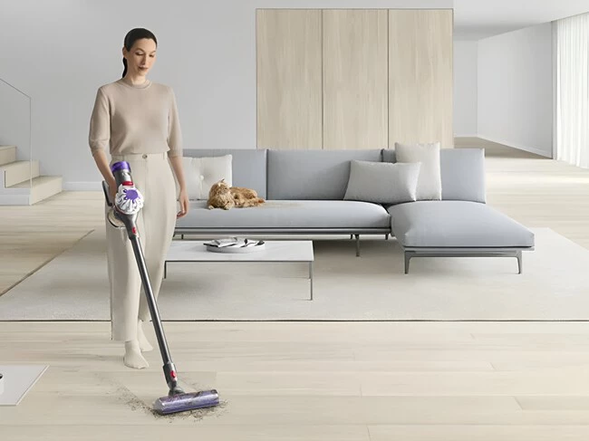 Dyson V8