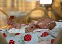 Habitaciones "útero" para los bebés prematuros