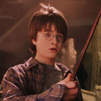 Si paras Harry Potter y la Piedra Filosofal en el minuto 1:00:54, verás a una reina de Inglaterra que fue ejecutada por decapitación 