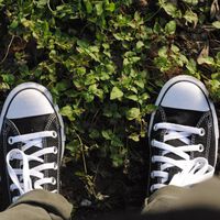 Las zapatillas Converse más clásicas y cómodas para llevar con vaqueros, ahora rebajadas por 36 euros