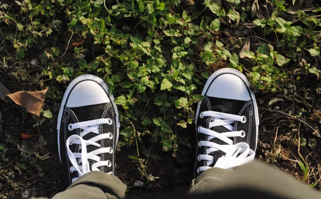 Converse1