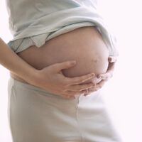 Ele não queria uma família, queria uma dinastia: o plano do magnata chinês que gastou uma fortuna para ter 100 filhos em solo americano