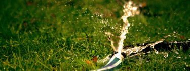 Cómo regar tu jardín de forma más eficiente en verano: ahorra agua y cuida las plantas