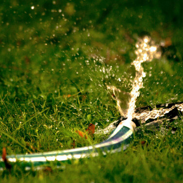 Cómo regar tu jardín de forma más eficiente en verano: ahorra agua y cuida las plantas