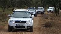 Skoda Yeti 4x4 DSG
