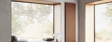 No, limpiar así los radiadores no es lo ideal y los expertos lo confirman: puede costarte caro