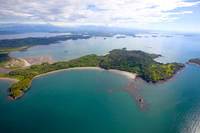Avistamiento de aves y de monos en Panamá