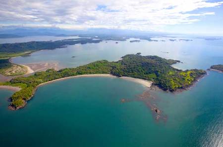 Avistamiento de aves y de monos en Panamá