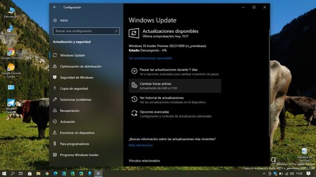 Microsoft libera la Build 20221 dentro del Canal Dev: Meet Now se integra en la barra de tareas para hacer llamadas con un click