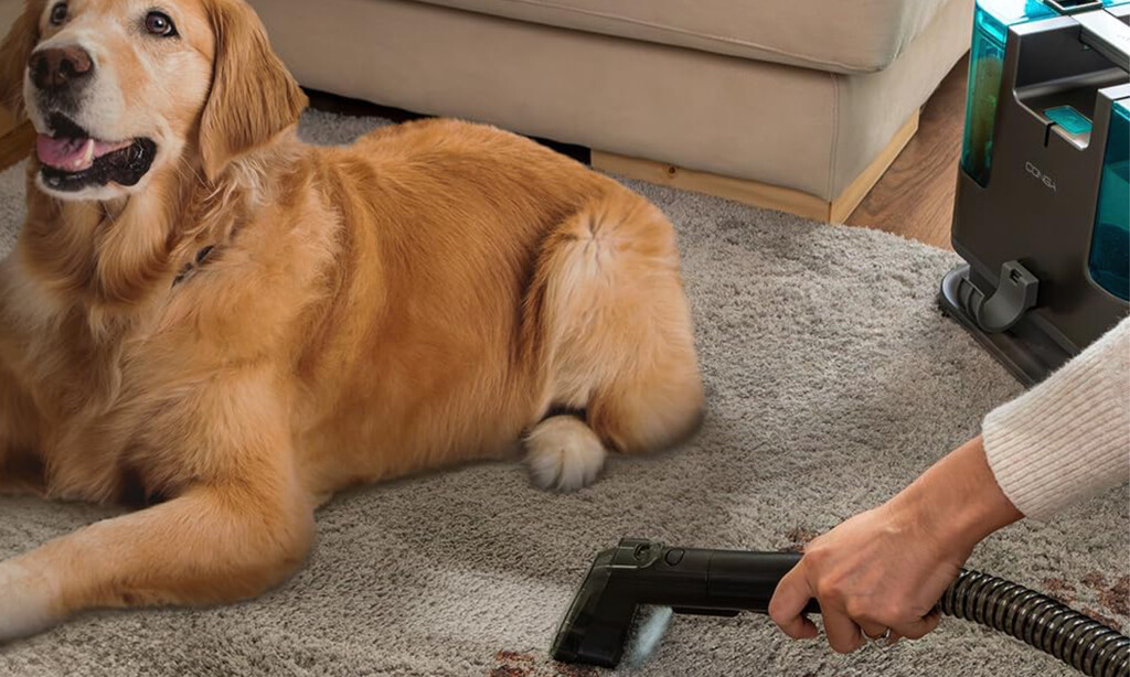 Adiós a los pelos de perro o gato en el sofá o alfombras: esta es la aspiradora superventas que los elimina 