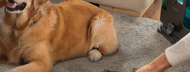 Adiós a los pelos de perro o gato en el sofá o alfombras: esta es la aspiradora superventas que los elimina 