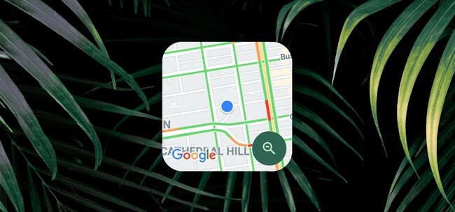 Google Maps Widget