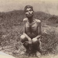 Em 1867, a Índia descobriu um menino vivendo com lobos; sua tragédia pode ter inspirado Mogli