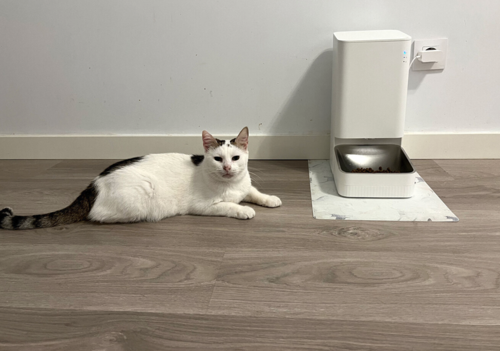 Xiaomi tiene este comedero automático para que tus mascotas no pasen hambre y ahora está a precio de outlet