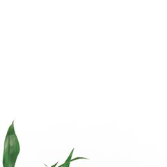 Foto 8 de 25 de la galería fondos-minimalistas en Xataka Android