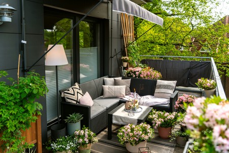 toldo