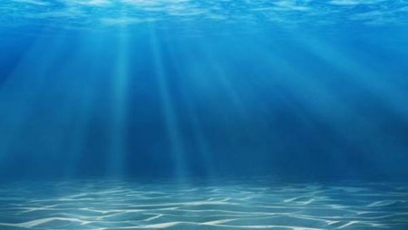 Los océanos se están quedando sin oxígeno, según un nuevo análisis