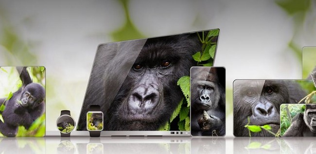 Gorilla Glass Victus