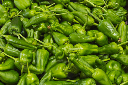 Padron