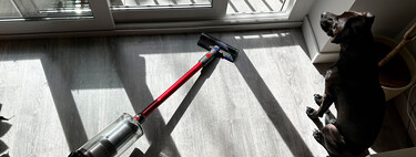 He adoptado un perro. Esto es lo que he comprado y lo que he tenido que hacer para acabar con los pelos en casa   