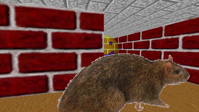 Windows 95