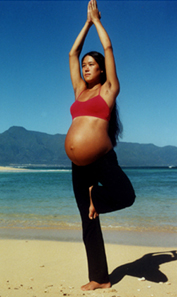 postura del árbol.bmp