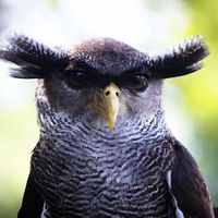 ¿Cómo te ven los demás?