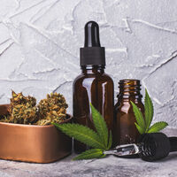 Avanços significativos com CBD são alcançados por pesquisadores: alivio da dor, mas sem efeitos colaterais indesejados 