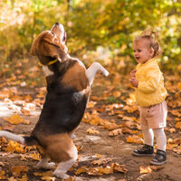 Tener animales fomenta en los niños el sentido de la responsabilidad y el cuidado hacia otros 