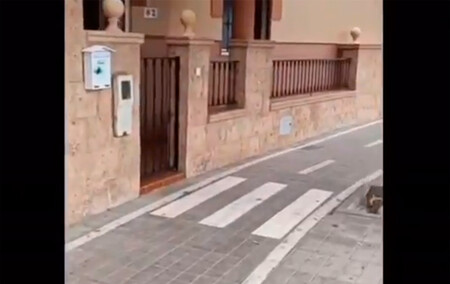 Carril bici pegado a una casa en Almería: la solución, un paso de cebra