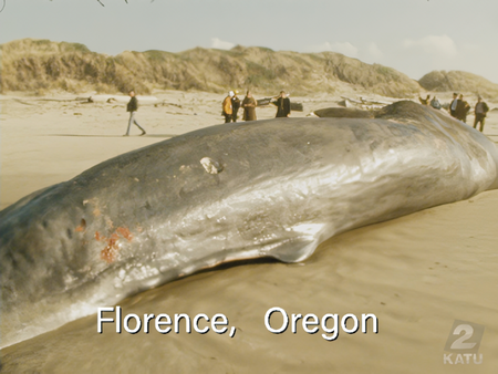 Fair use, https://en.wikipedia.org/w/index.php?curid=737529