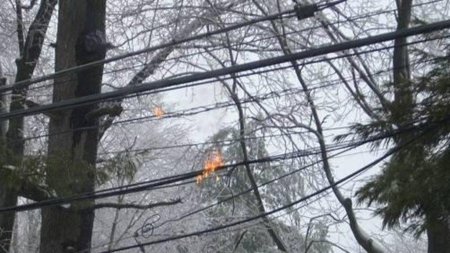 Las 10 causas más extrañas y molestas de rotura de cables de fibra óptica
