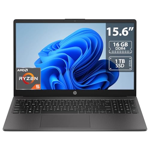 Laptop HP 255 G10 (16/256 GB)
