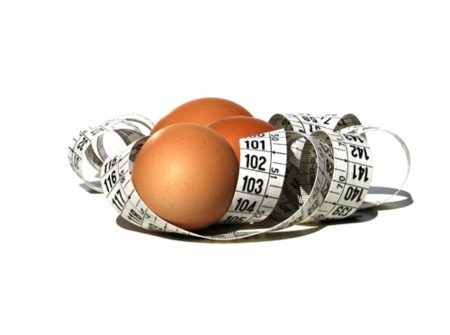 Las proteínas, un aliado para mantener el peso