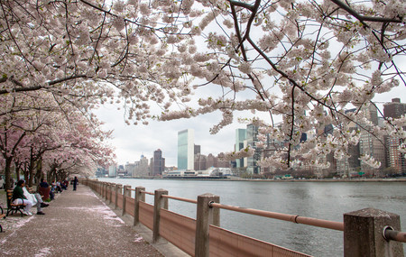 Nueva York en primavera