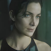 26 años después de The Matrix, muchas personas no entienden que el romance entre Neo y Trinity es clave para la película 